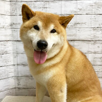 画像769