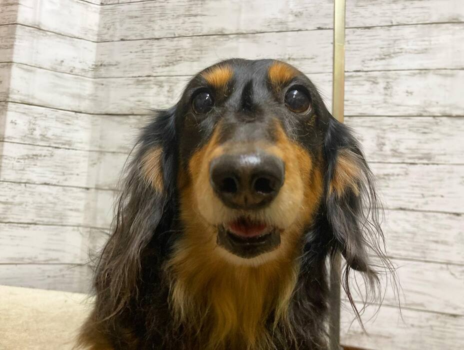 画像781