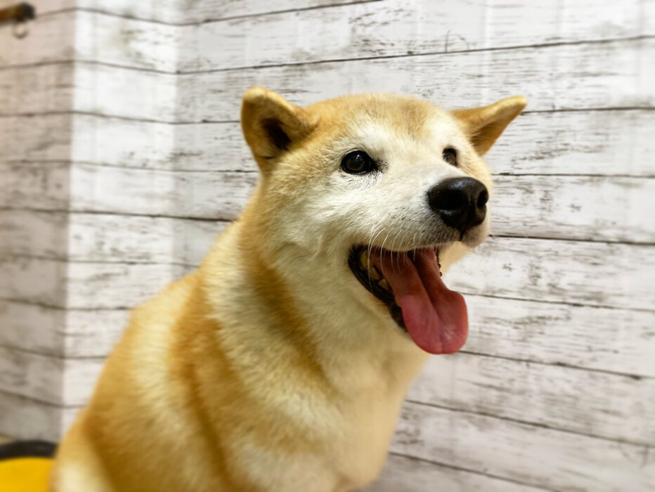画像915